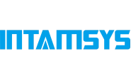 Intamsys